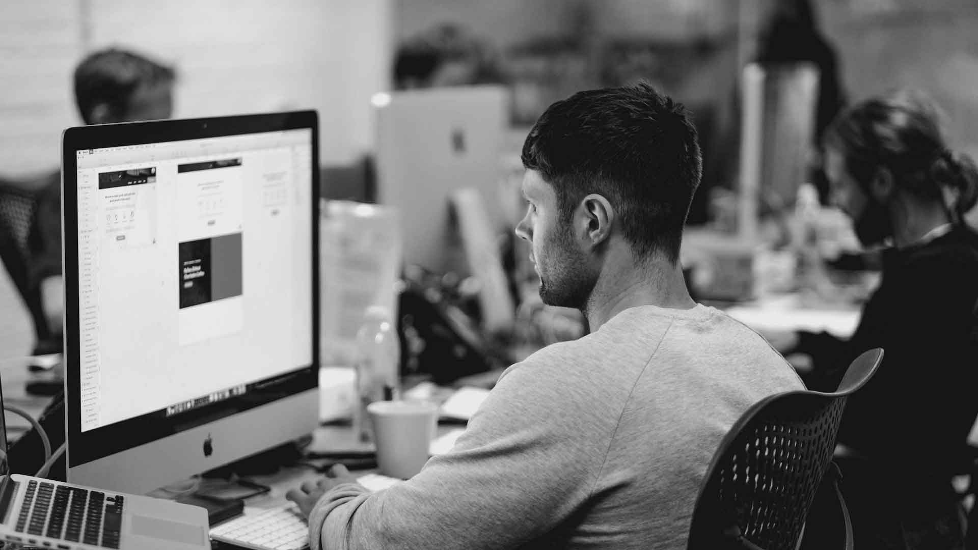 Prüfung & Freischaltung